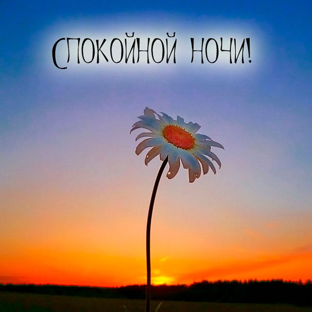 Доброй благословенной летней ночи