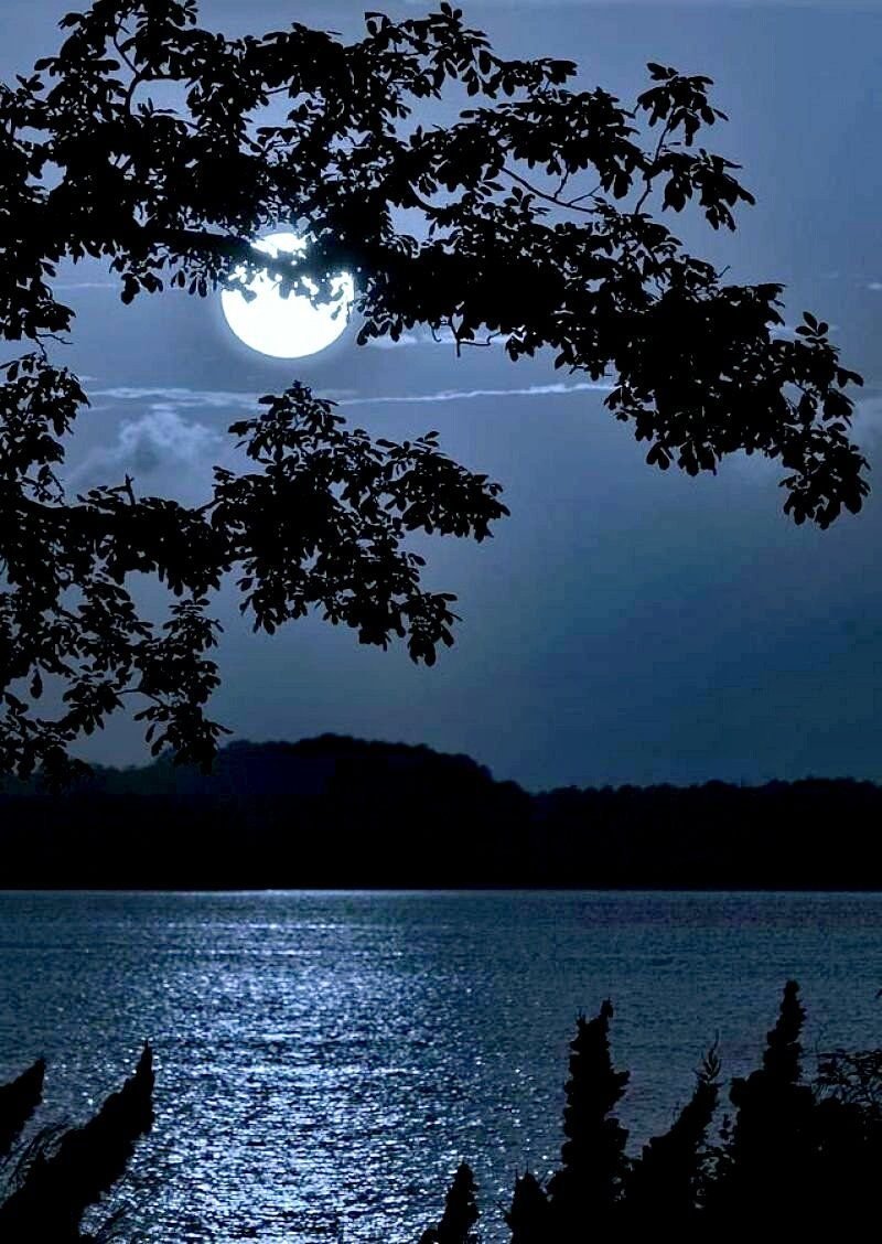 Спокойной летней ночи