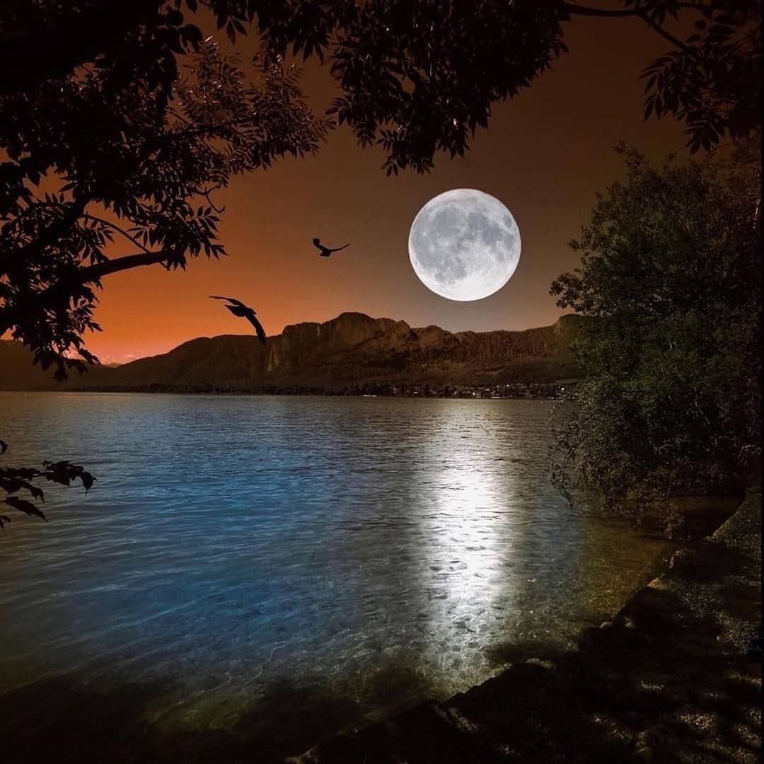 Красивая ночь