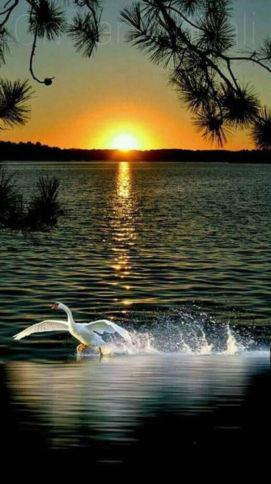 Добрый вечер природа