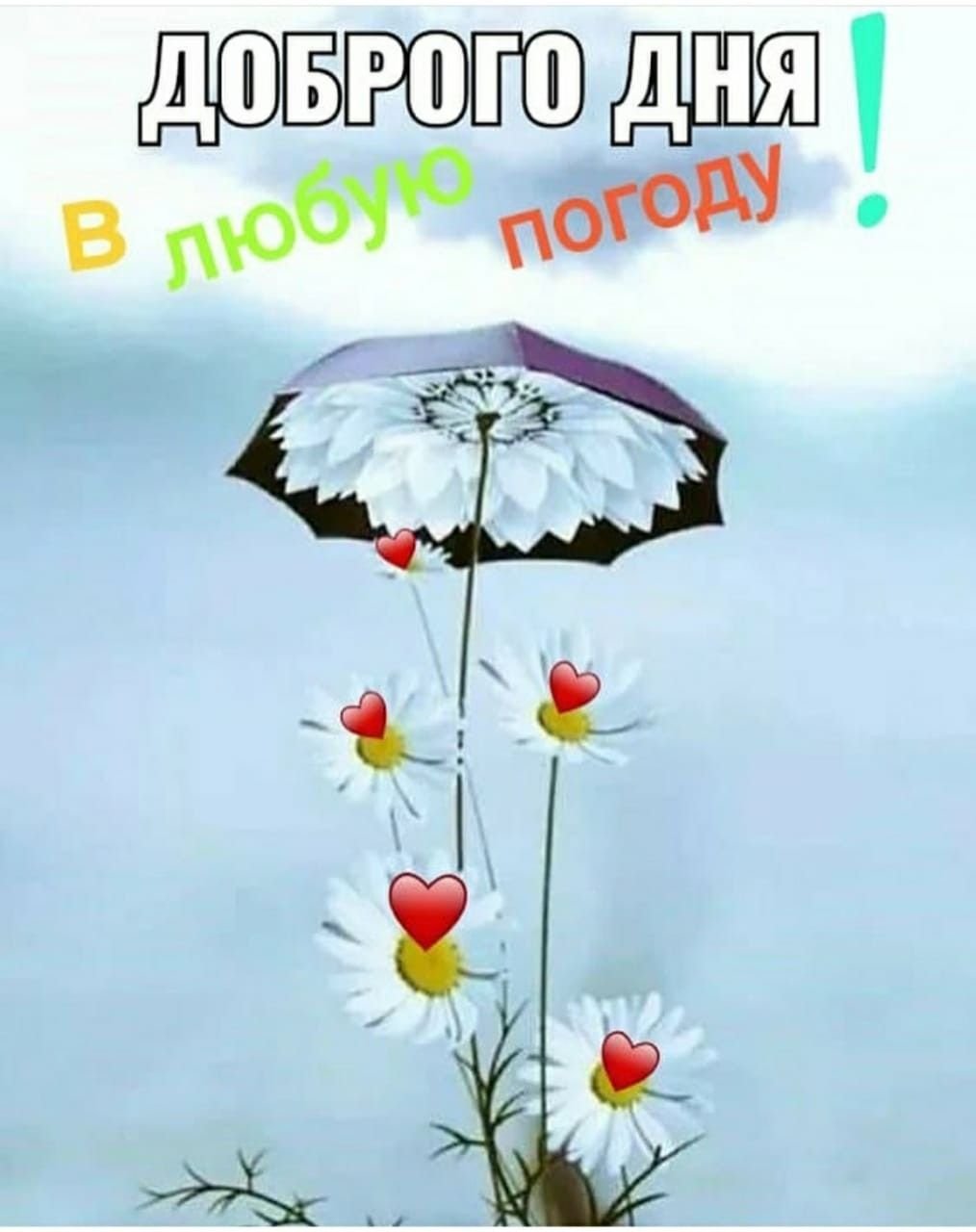 Доброе утро отличного дня в любую погоду