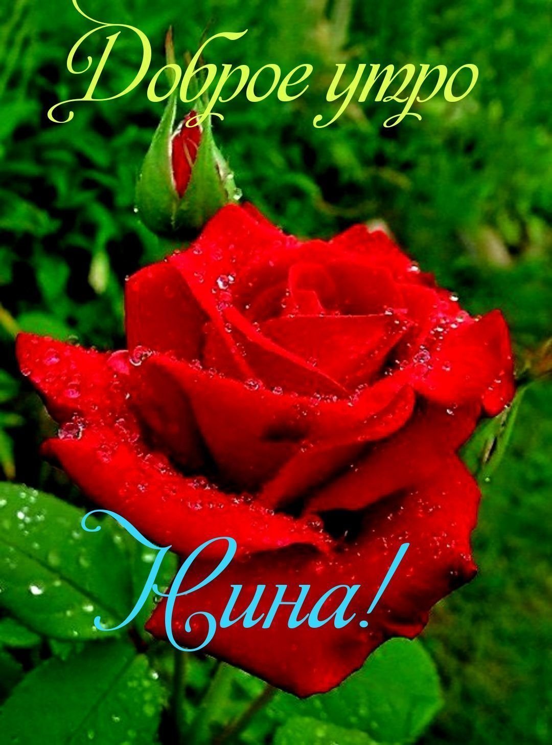 Доброе утро Нина открытка