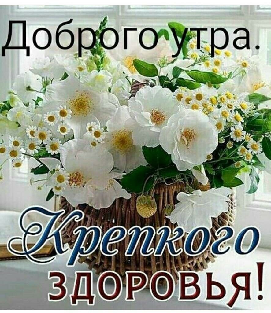 Доброе утро цитаты