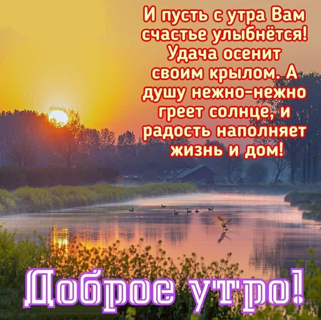 Доброго летнего утра и хорошего дня