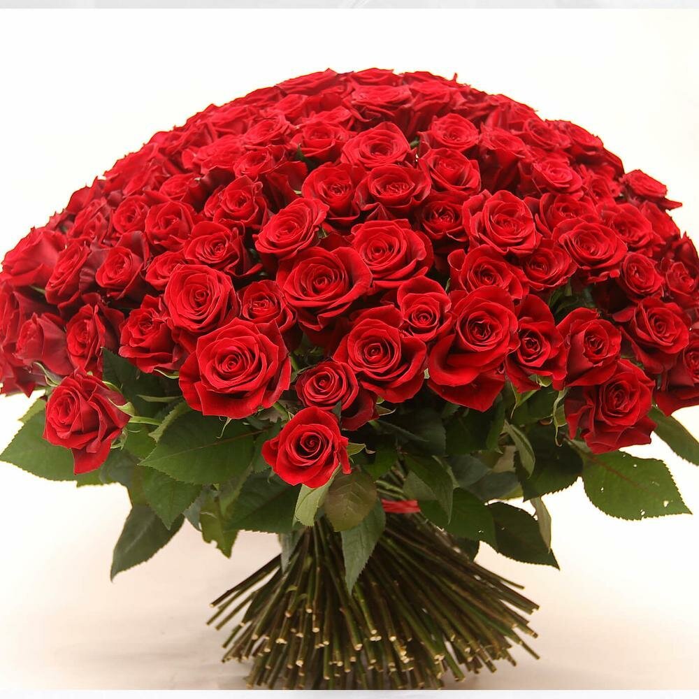 Букет красных роз
