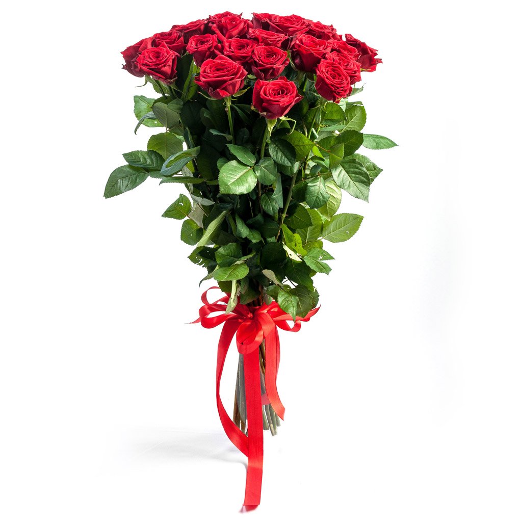 Роза Фридом Эквадор 100 см