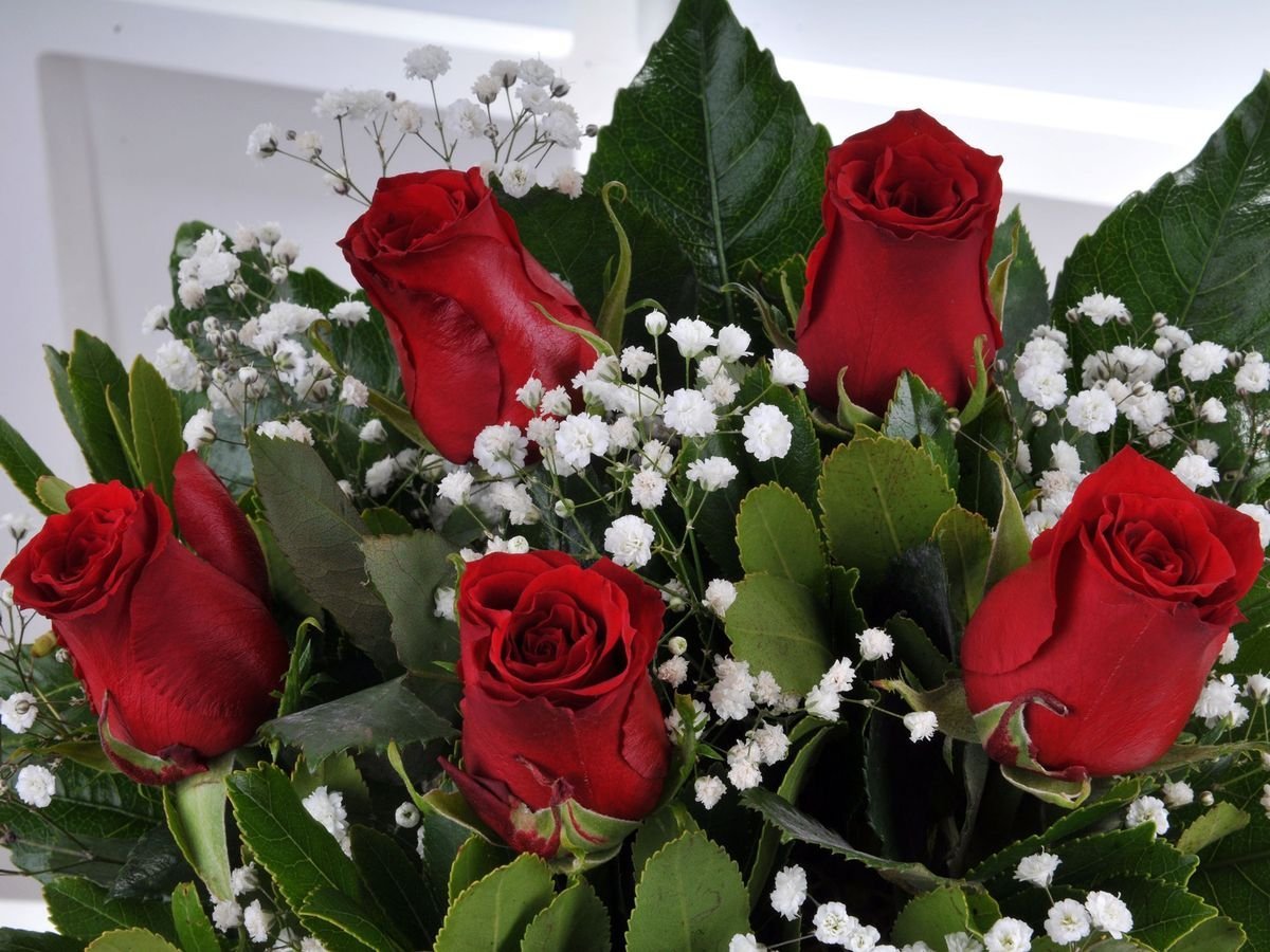 Гулар дунёси