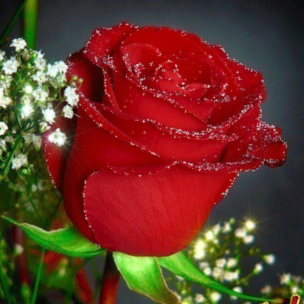 Атиргул букет