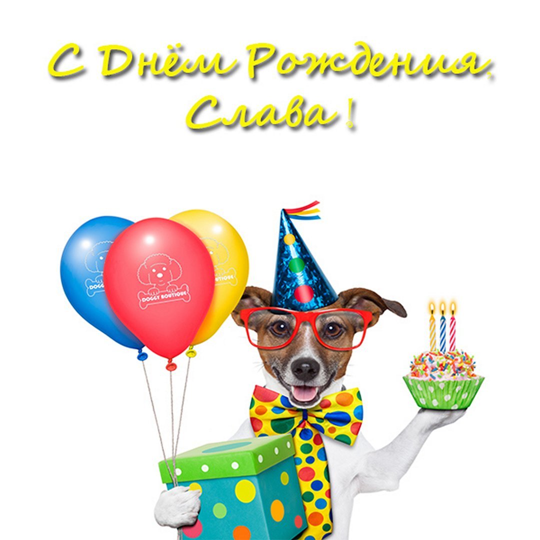 С днём рождения Максим