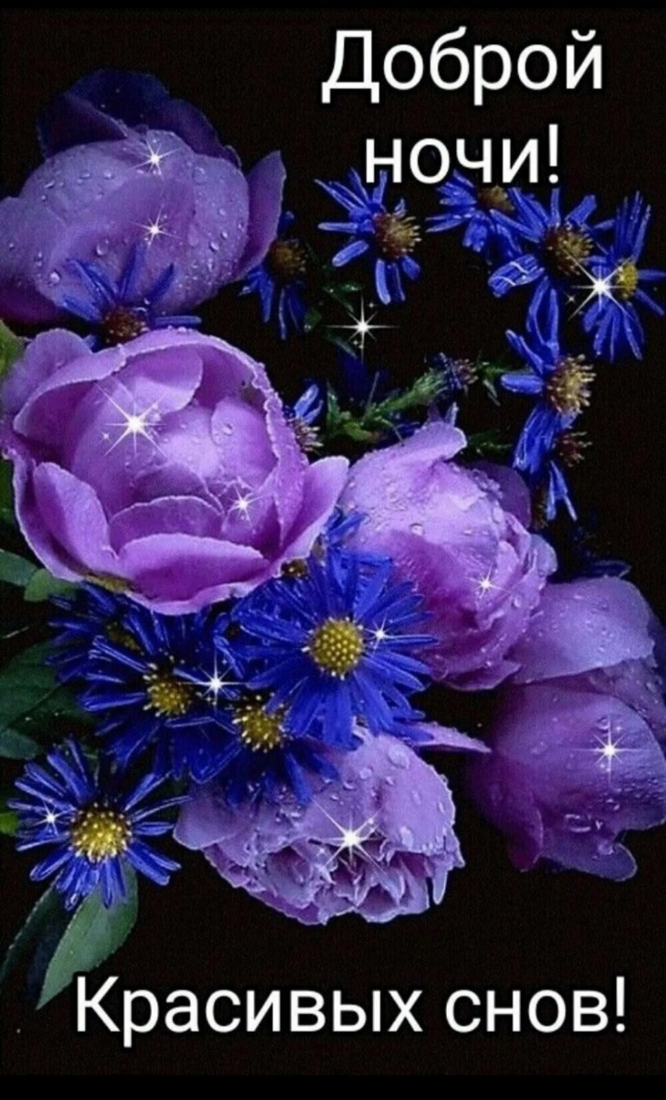 Доброй ночи цветы