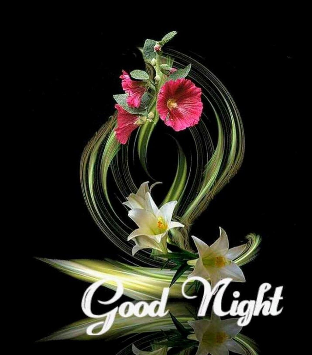 Добрый вечер очень редкие цветы