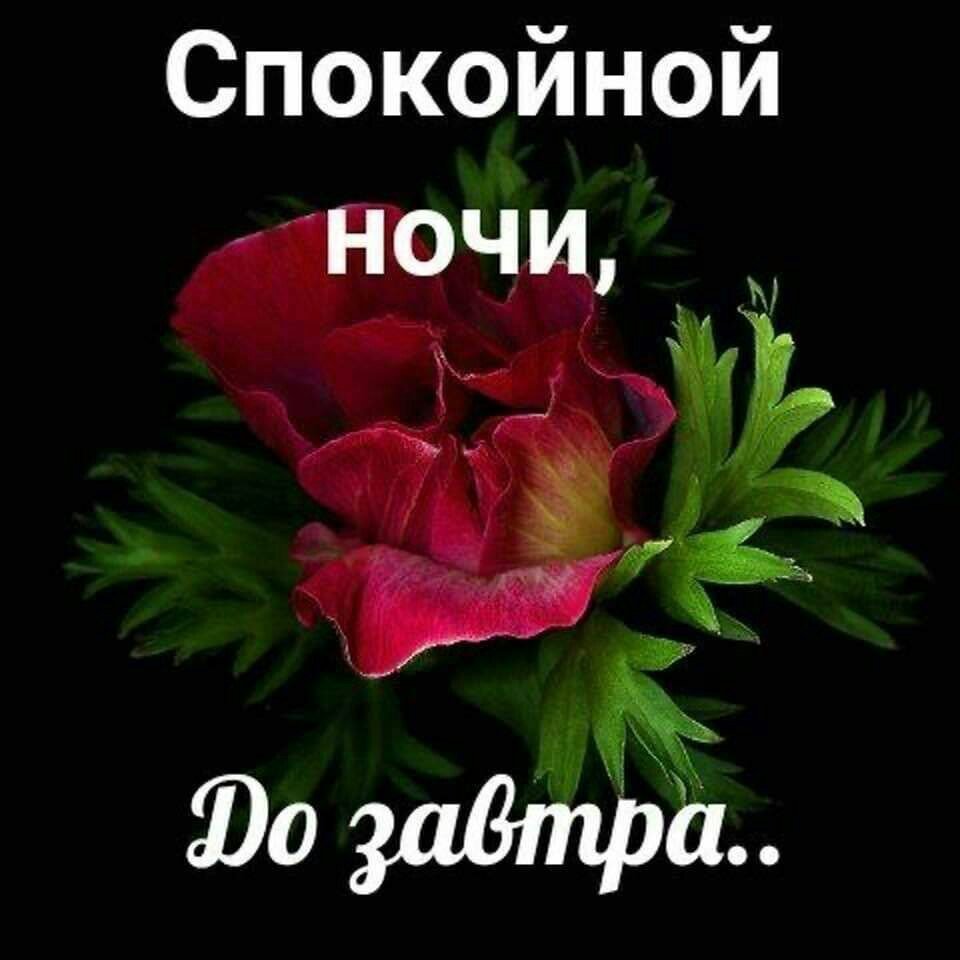 Добрый вечер анимация