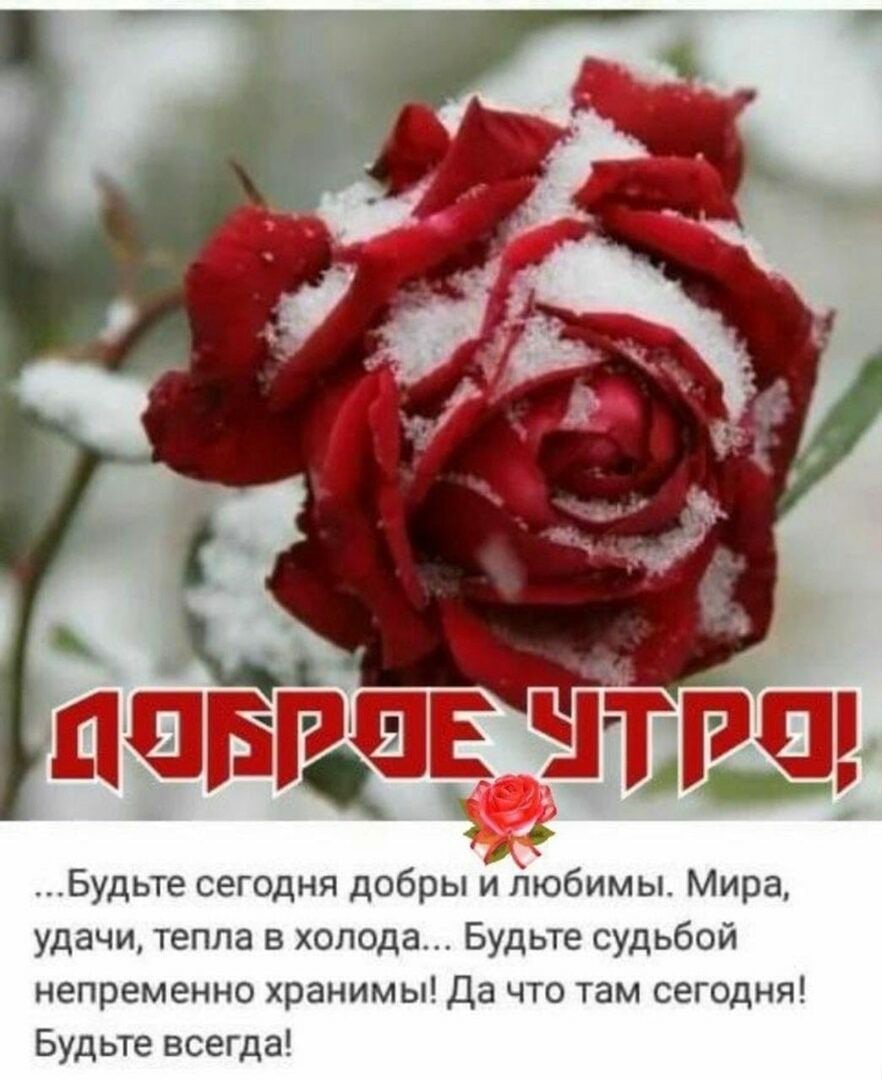 Доброе утро снег