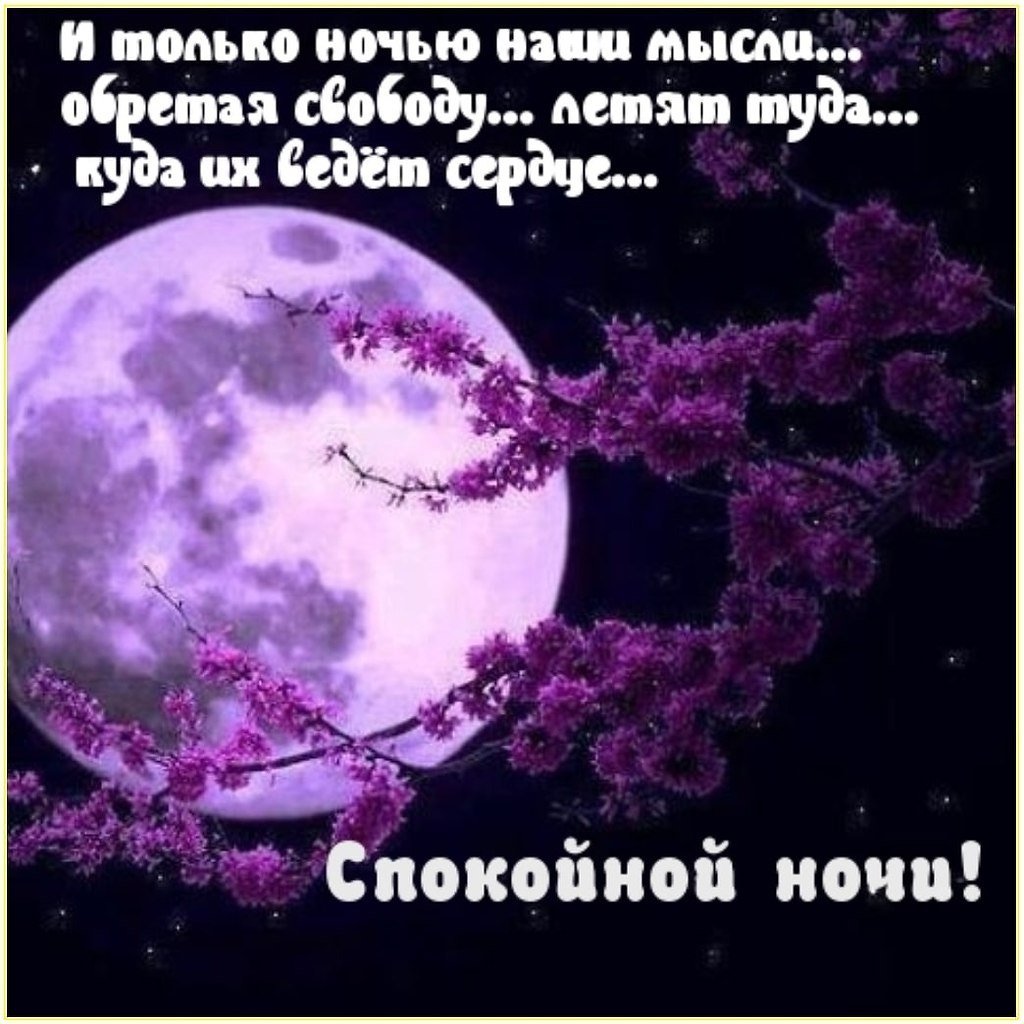 Спокойной ночи осень