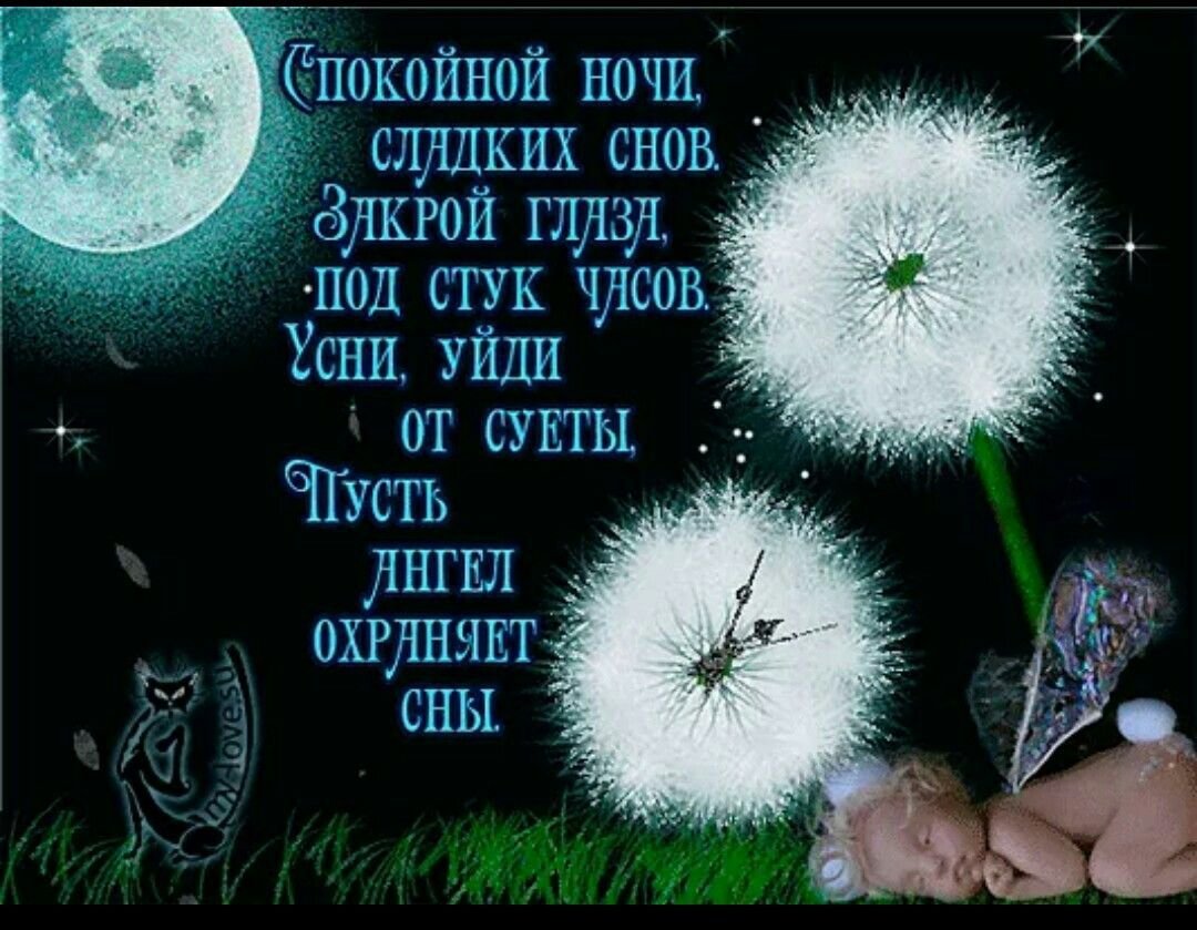 Отличного вечера