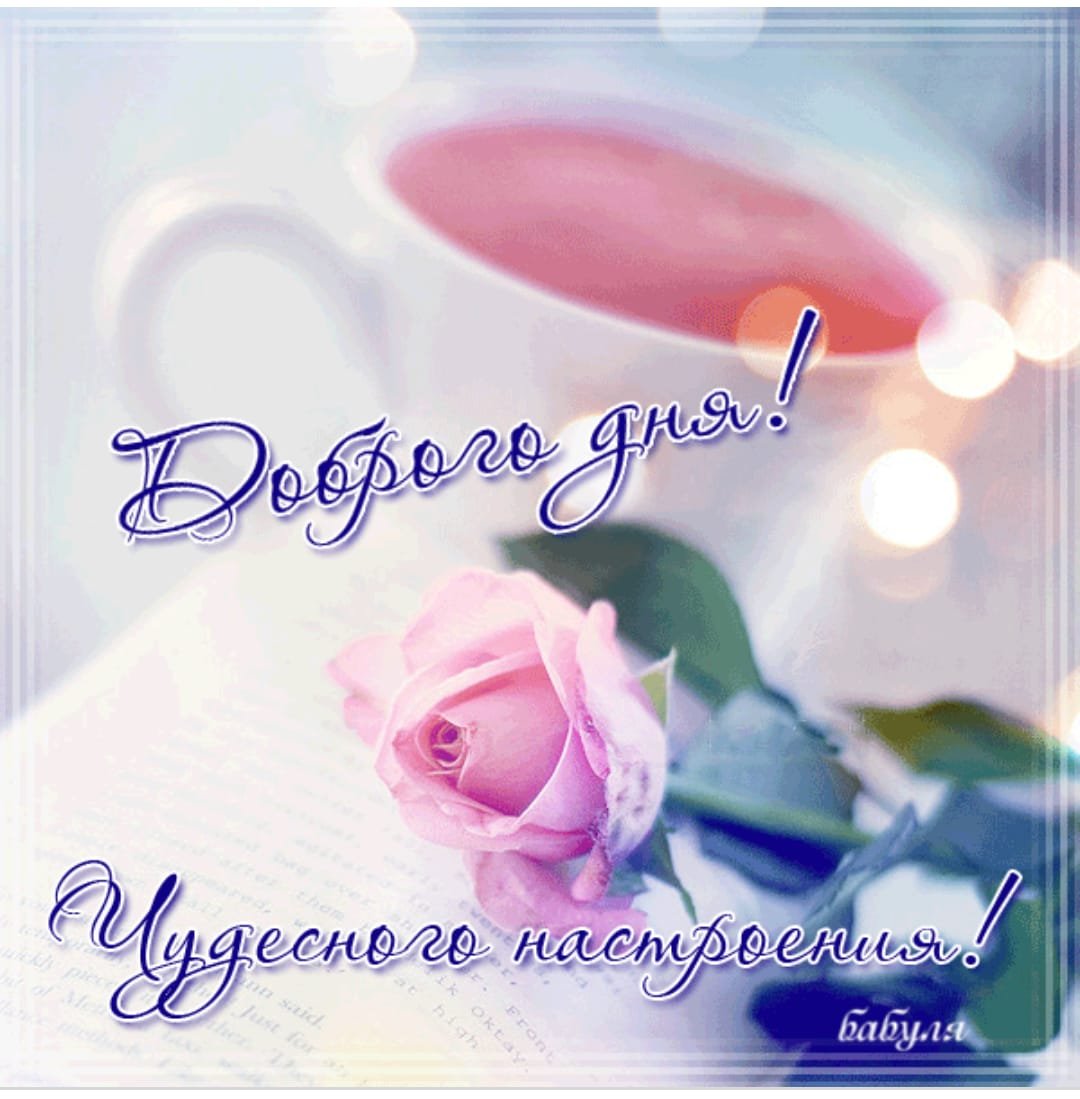 Добрый день картинки