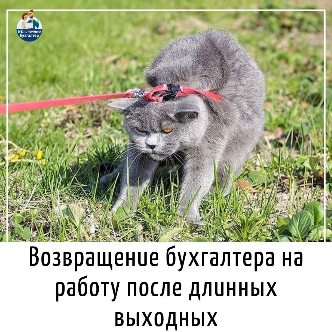 Поздравление с отпуском