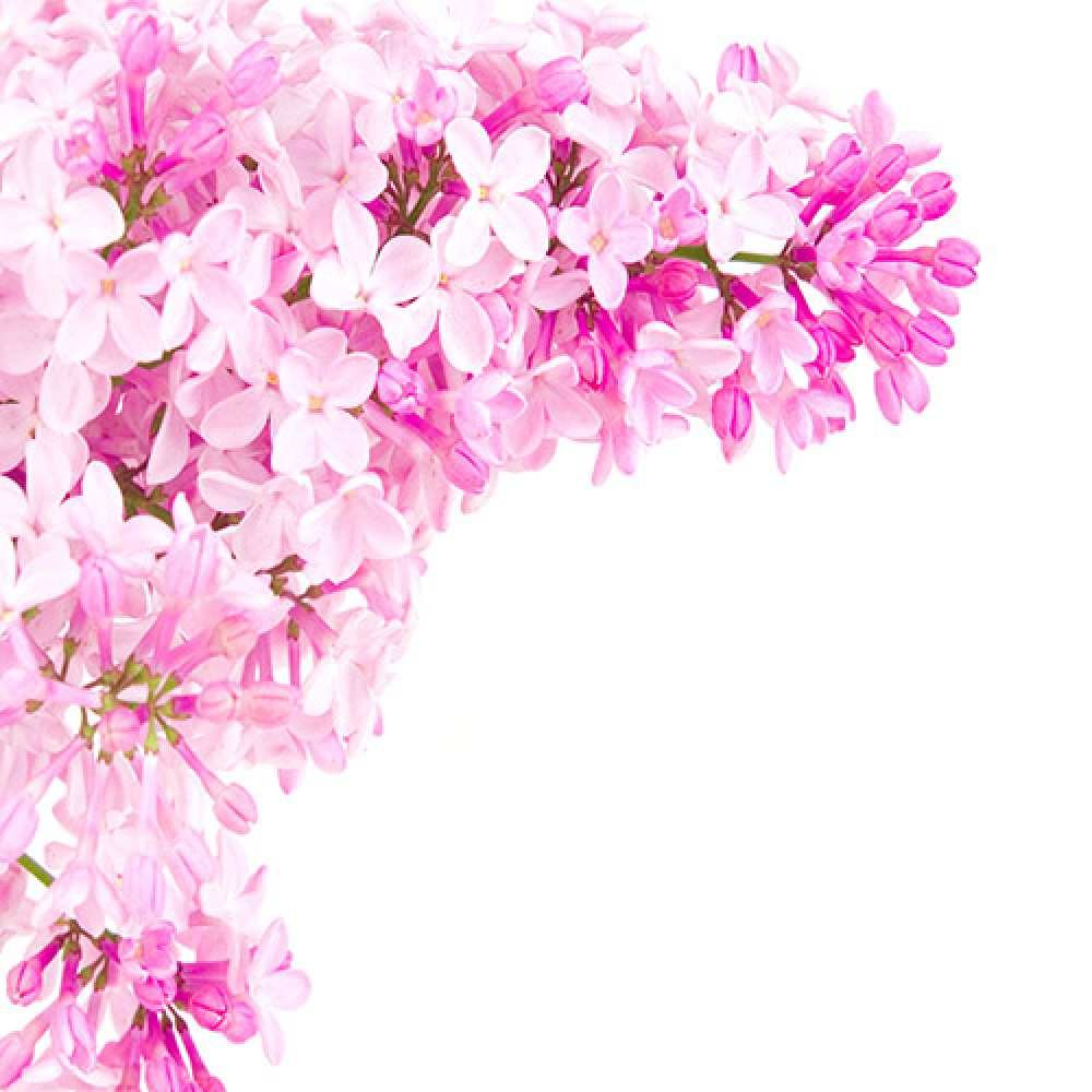 Поздравления с днём рождения Ирине прикольные