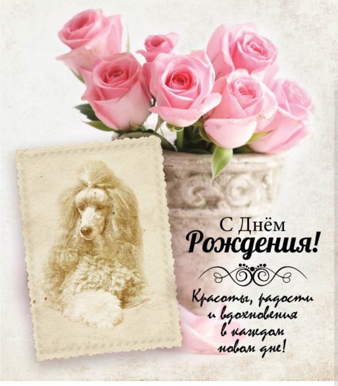 Happy Birthday Камилла