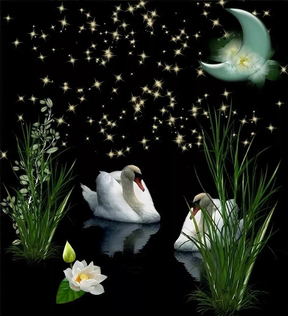 Спокойной тихой ночи