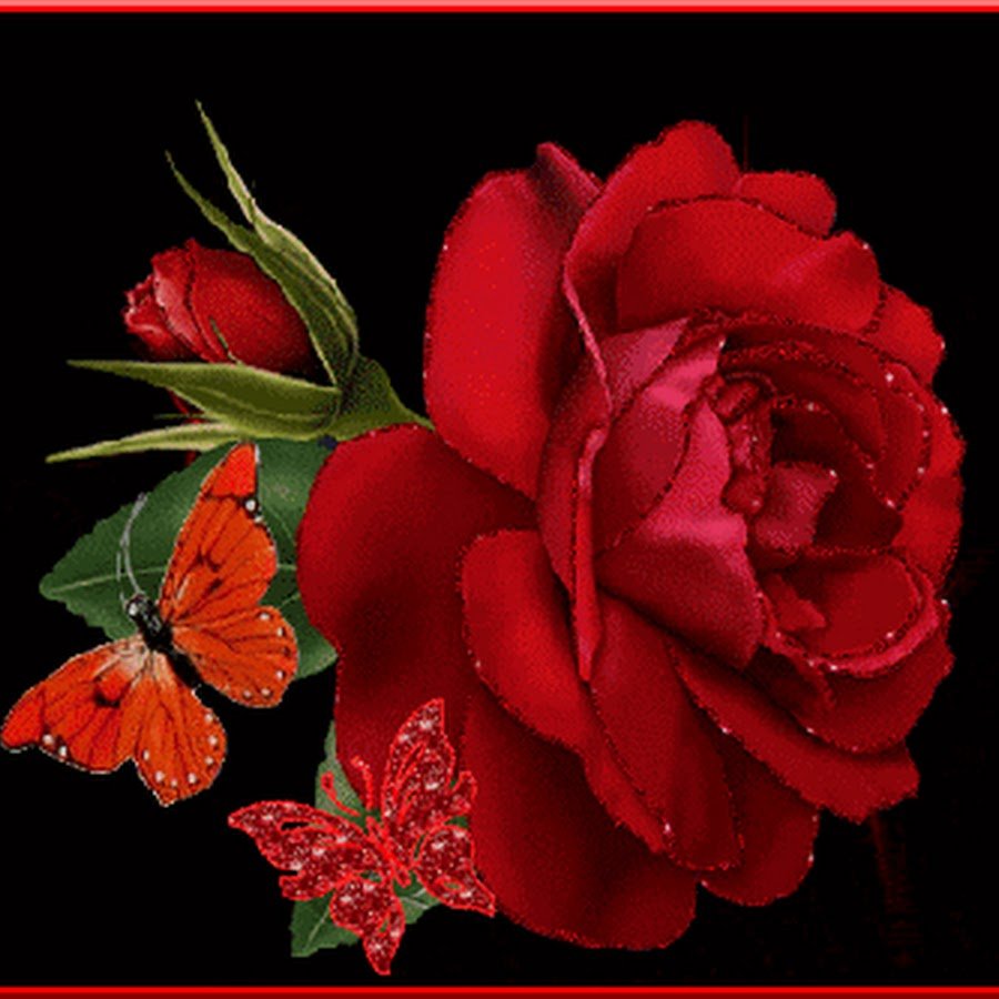 С днём рождения женщине красивые поздравления