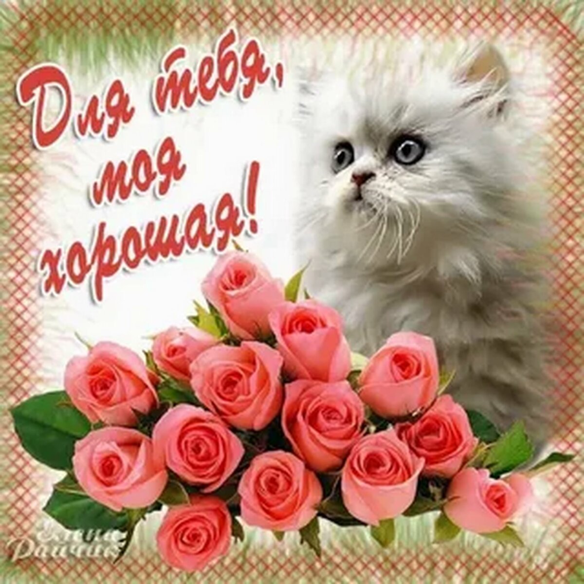 С днём рождения Виктория открытки