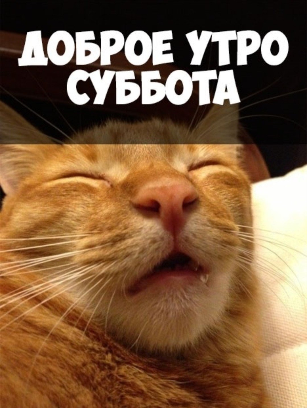 Доброе утро субботы