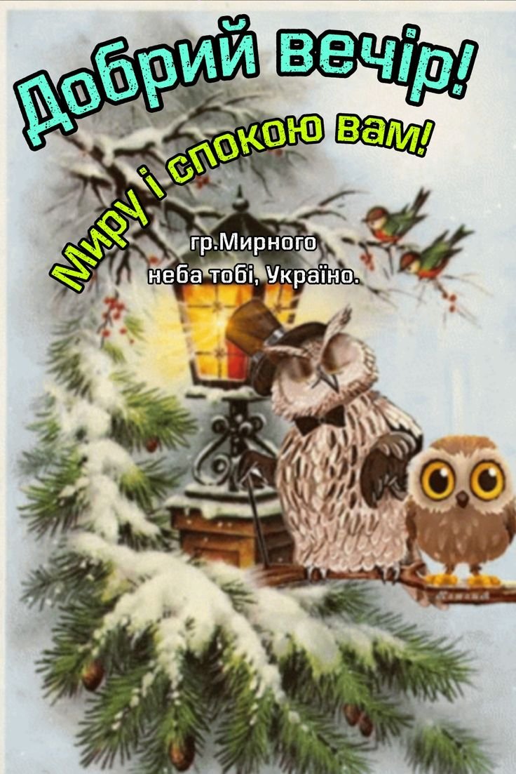 Новогодняя открытка с совушками