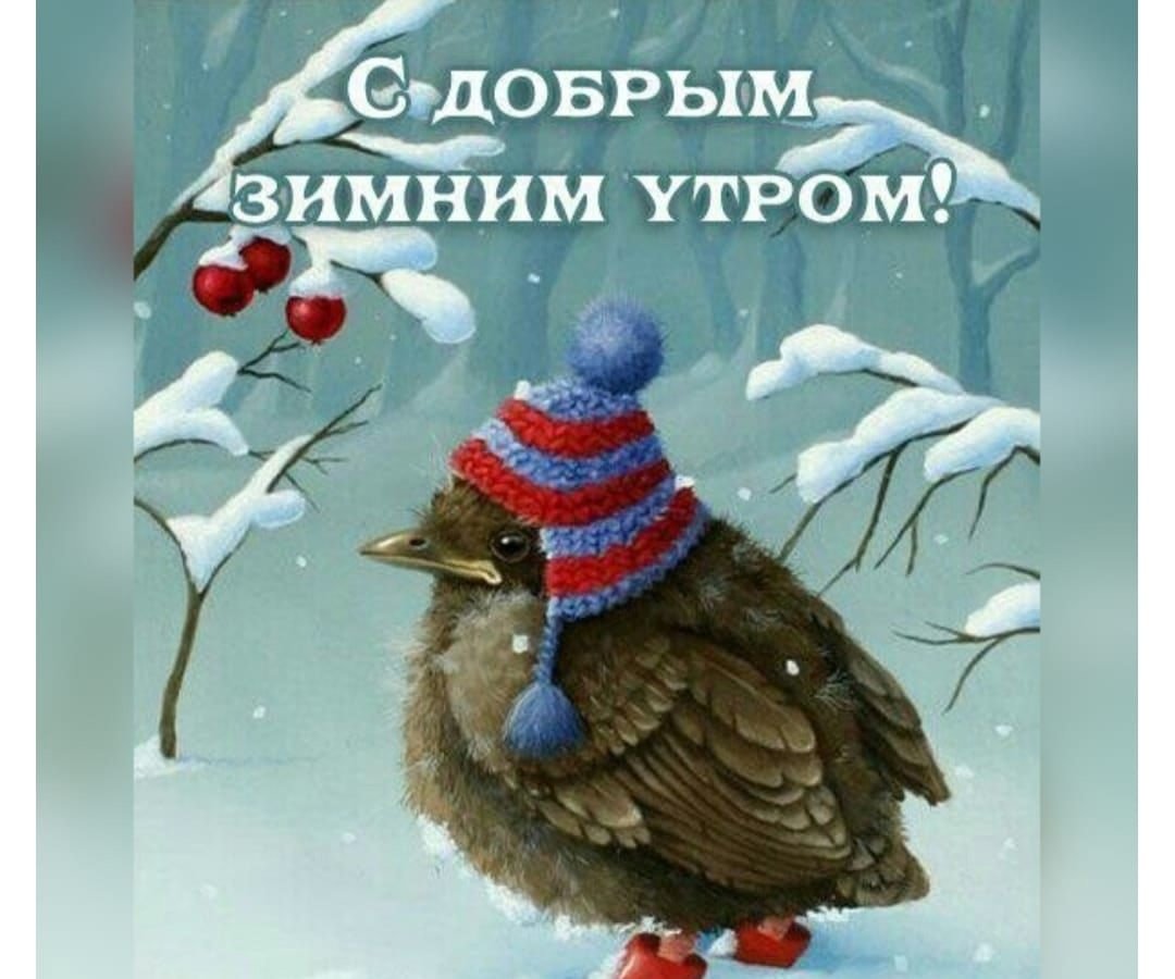 С добрым зимним утром с птицами