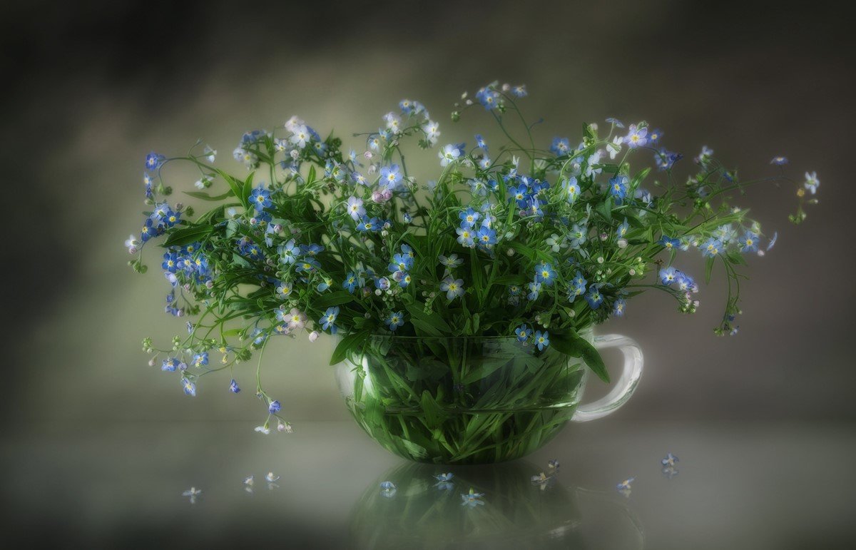 Букет из незабудок