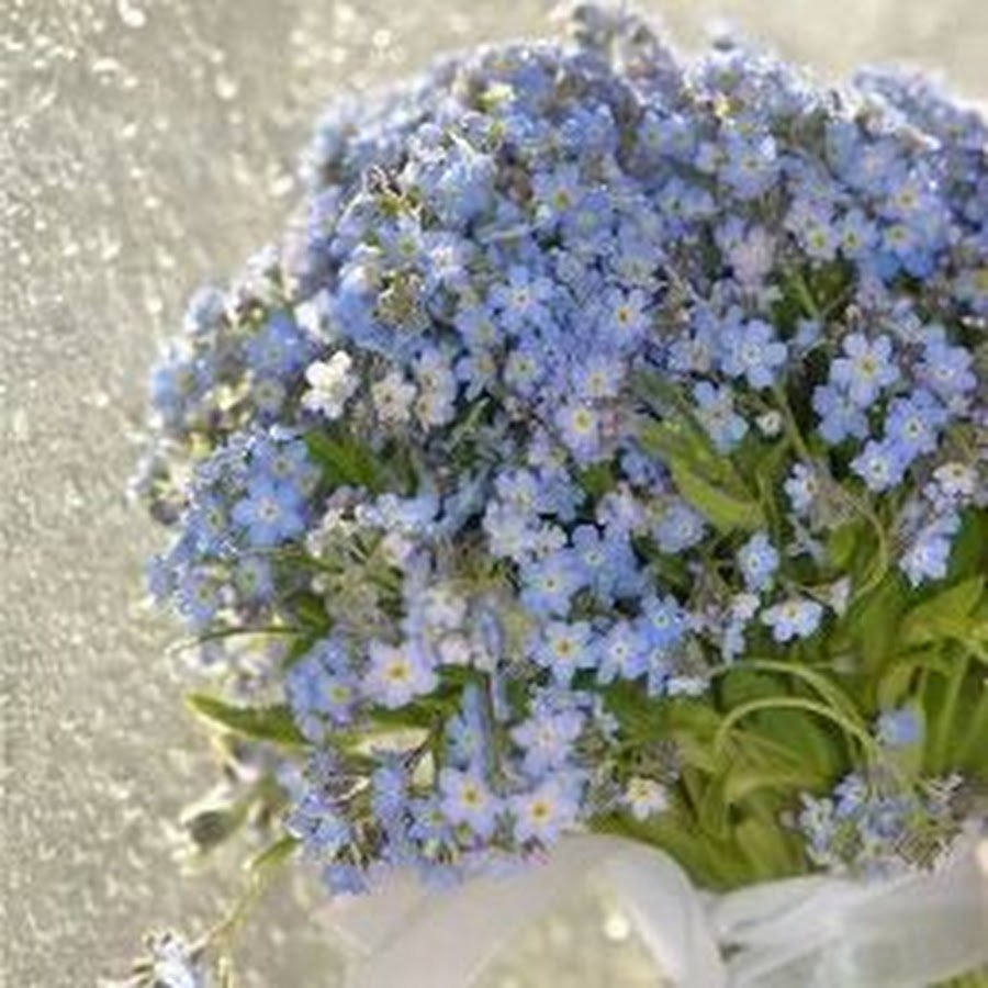 Будет незабудки