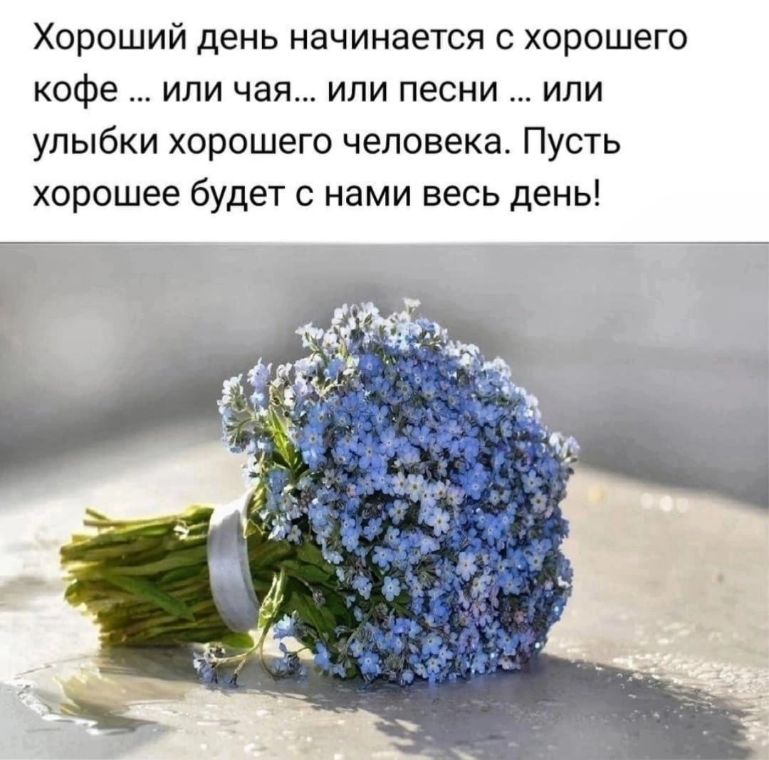 Букет незабудок