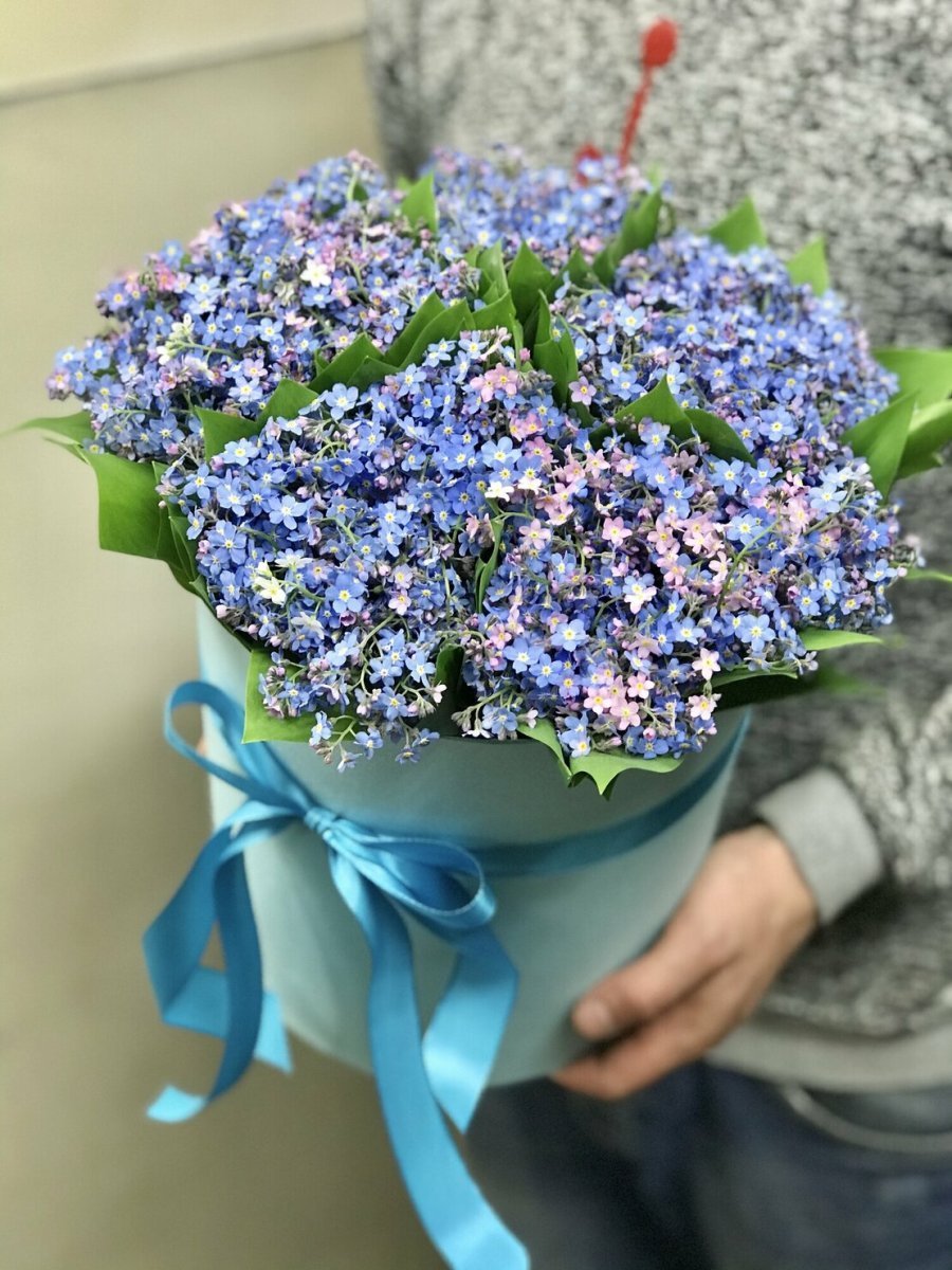 Вайнер незабудки