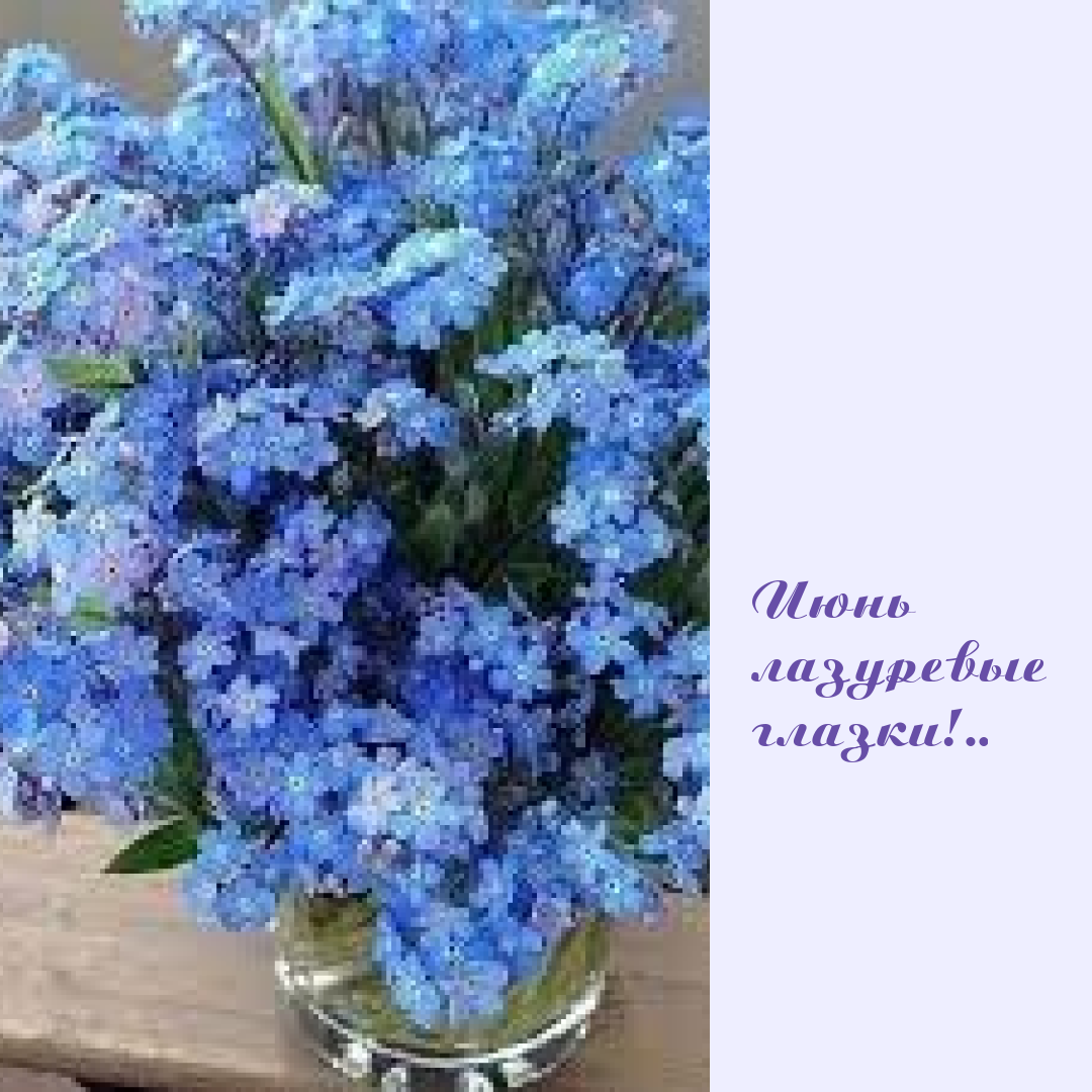 Фиалка букет незабудок