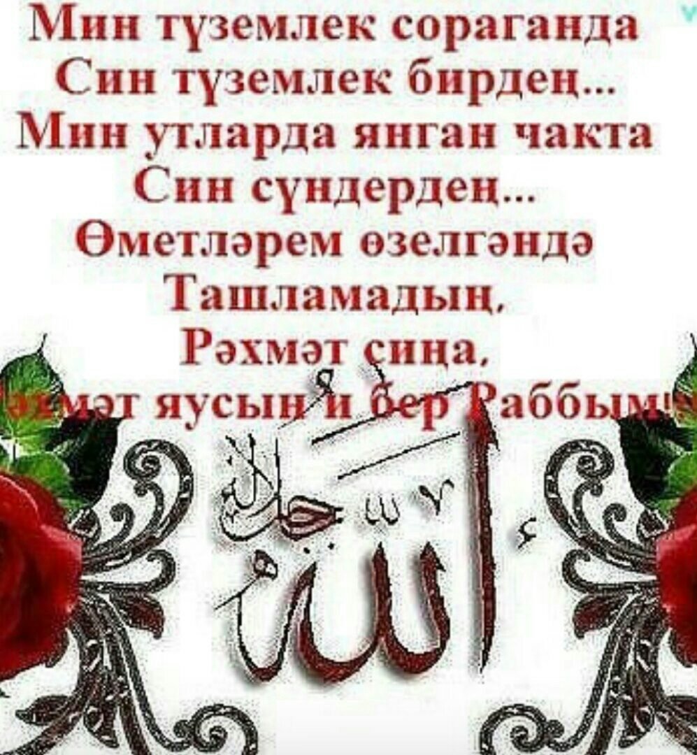 Открытки Жомга кон