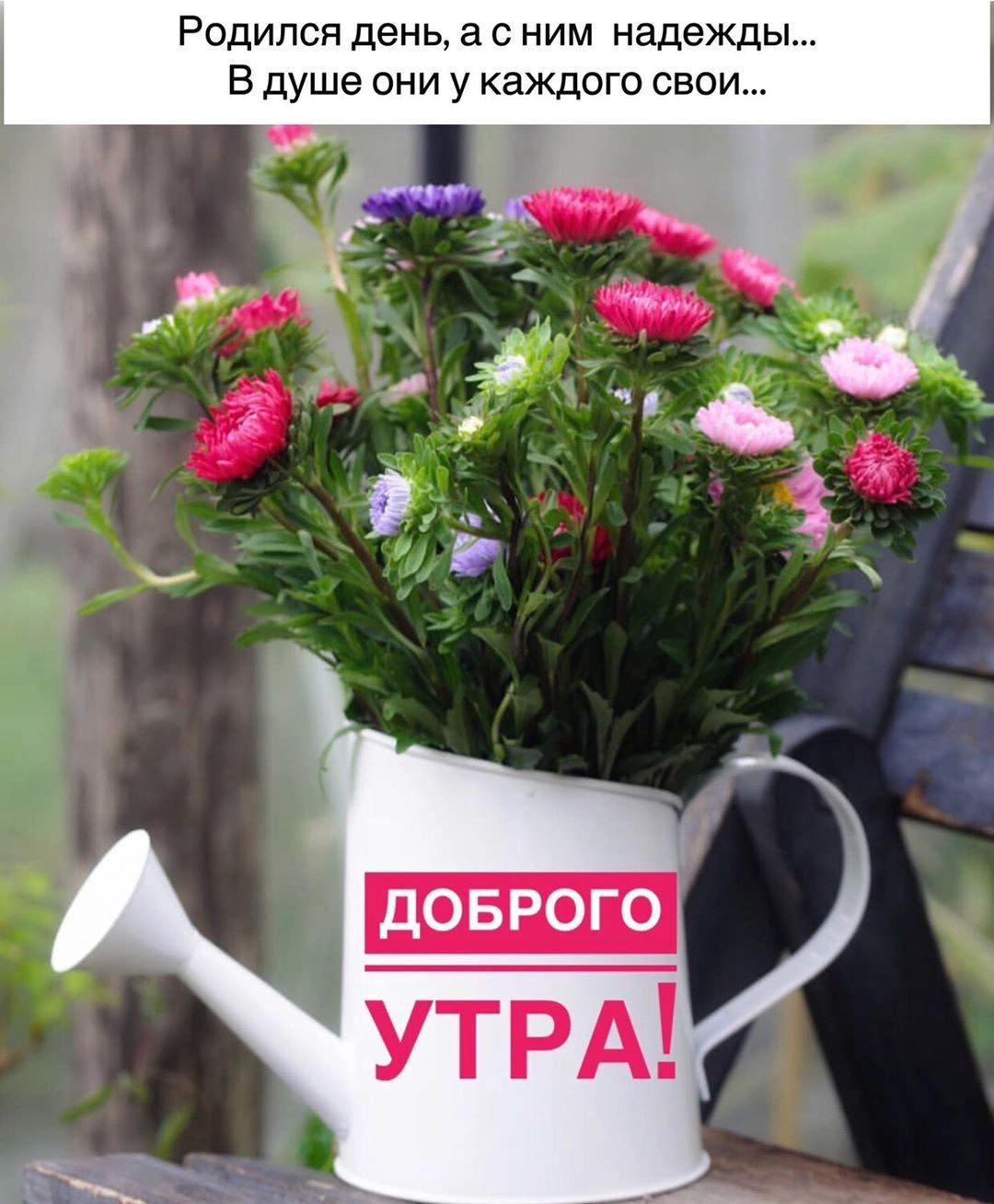 Доброе утро Ларочка картинки