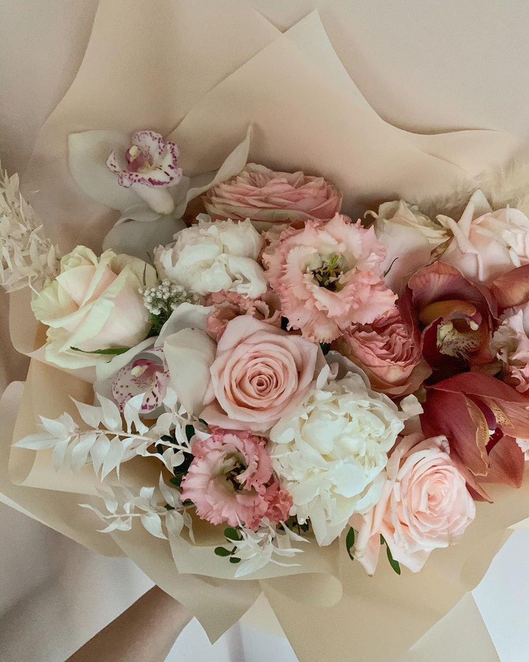 Пионовидная роза капучино