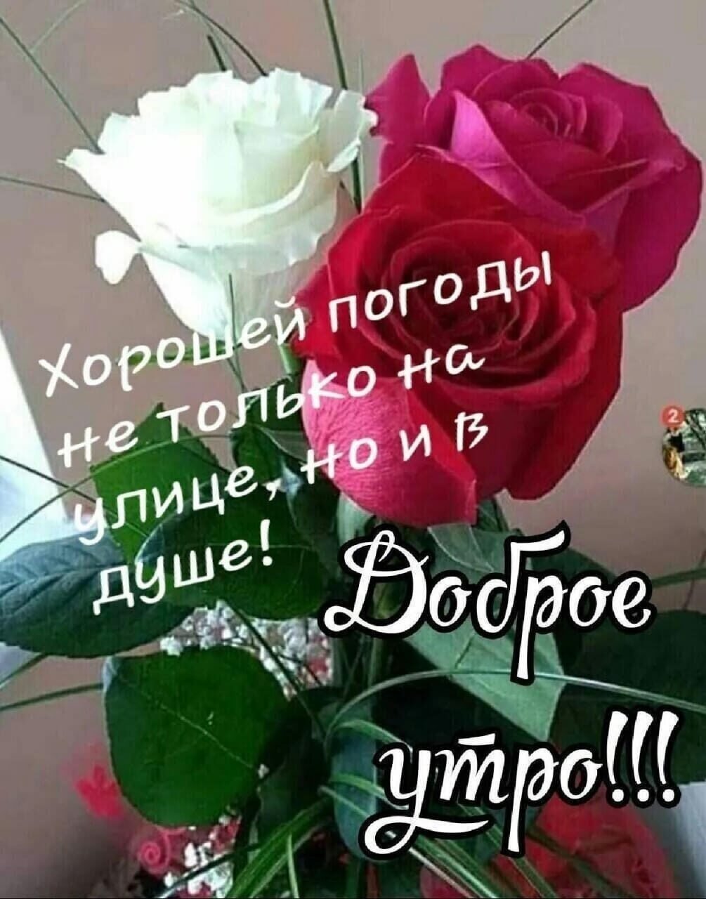 Петрова Татьяна доброе утро