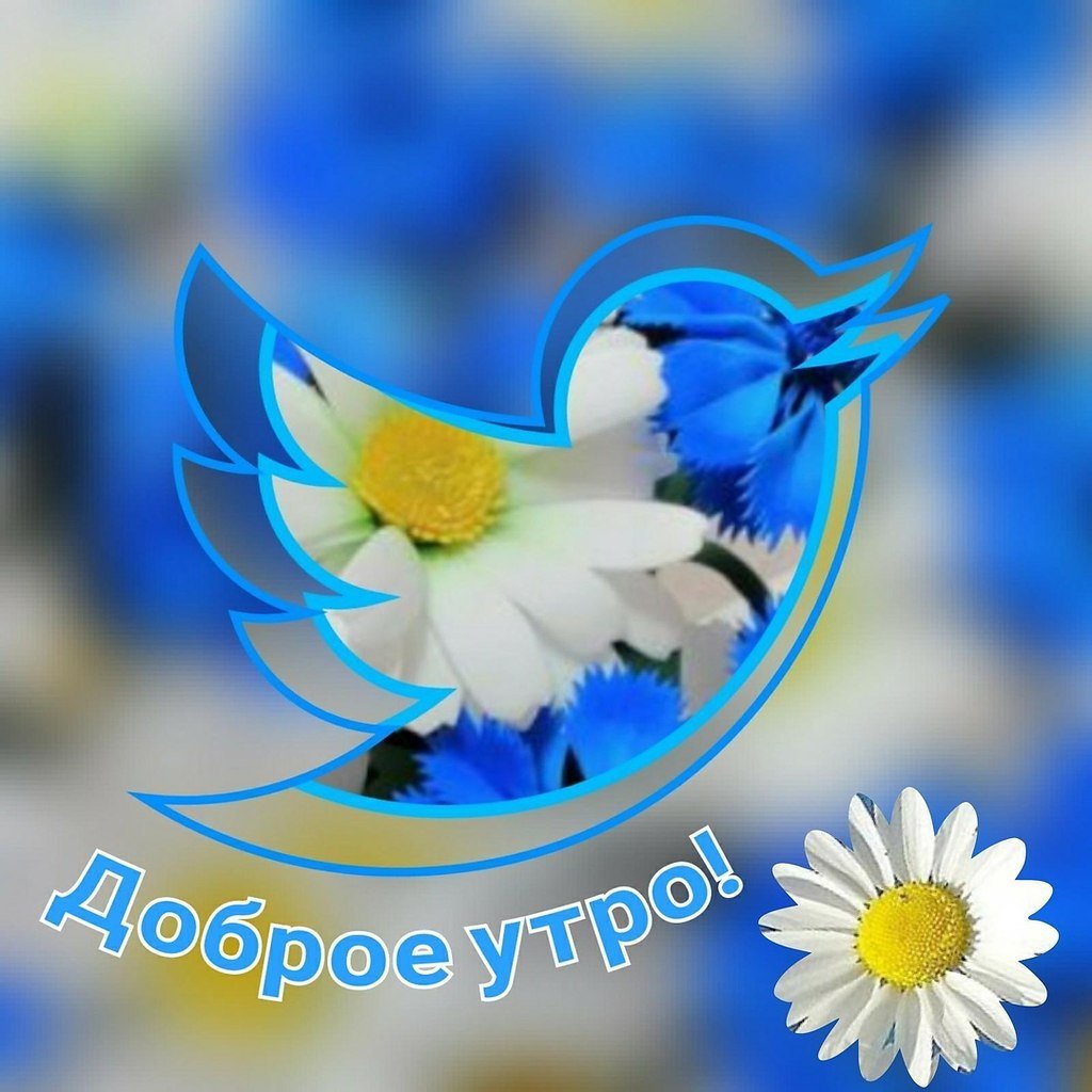 Доброе утро Елена