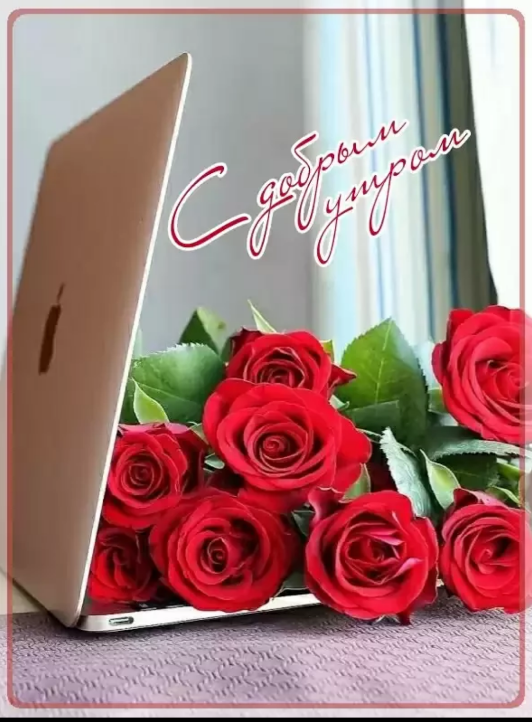 Если вам не дарили цветы это вам