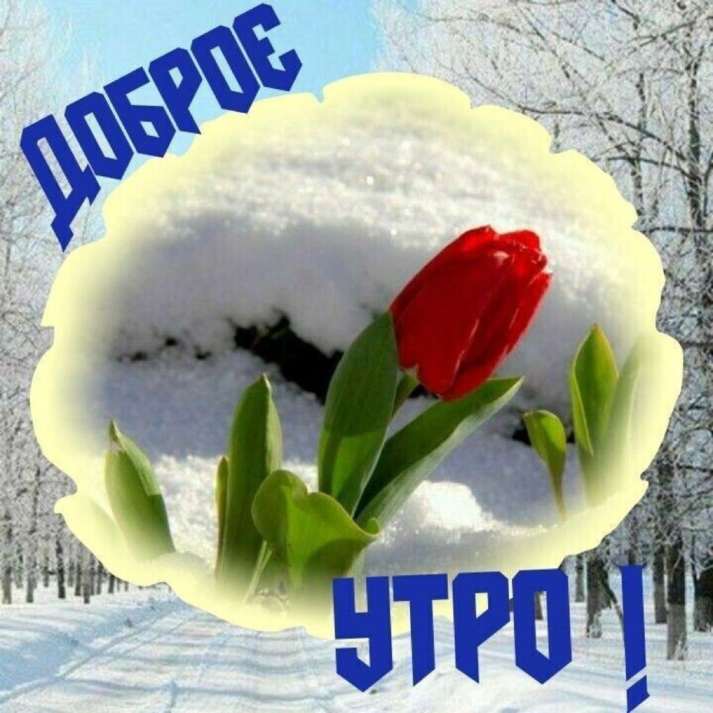 Доброе утро Лариса