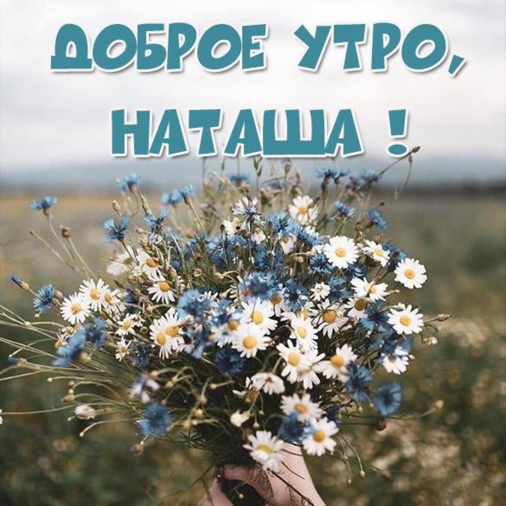 Розовые розы с добрым утром