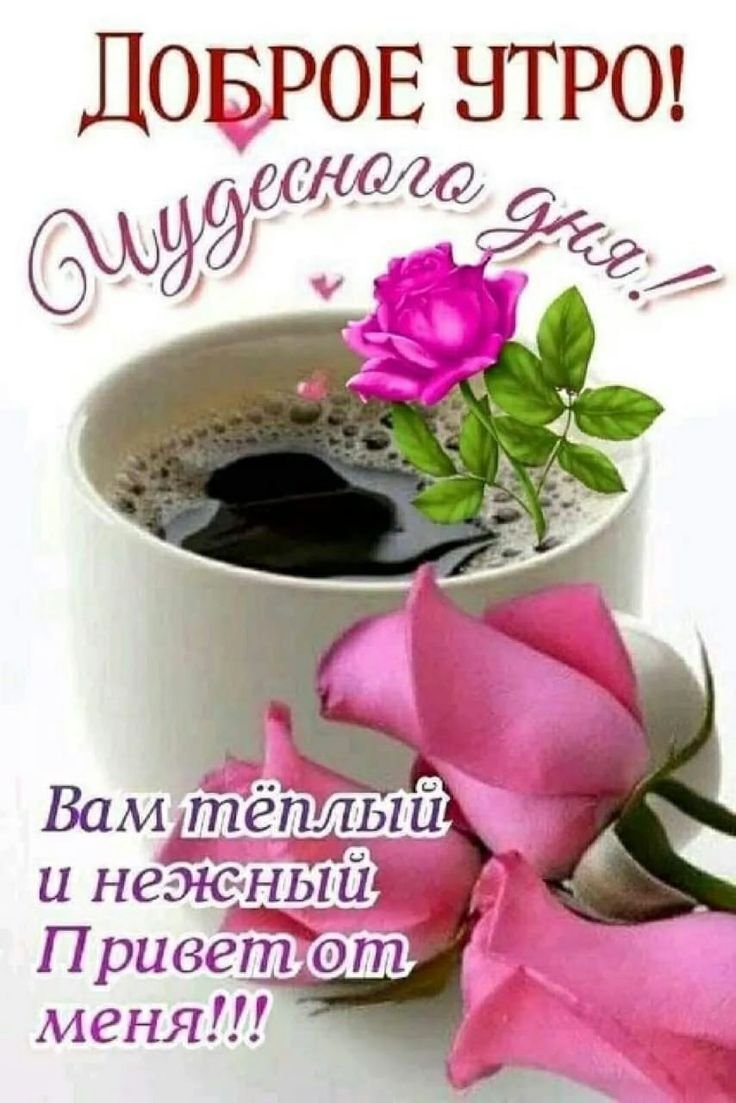 Красивые коллажи с добрым утром