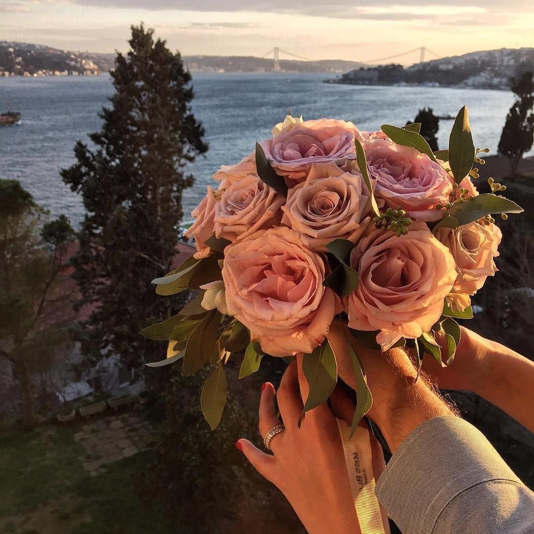 Цветы Эстетик