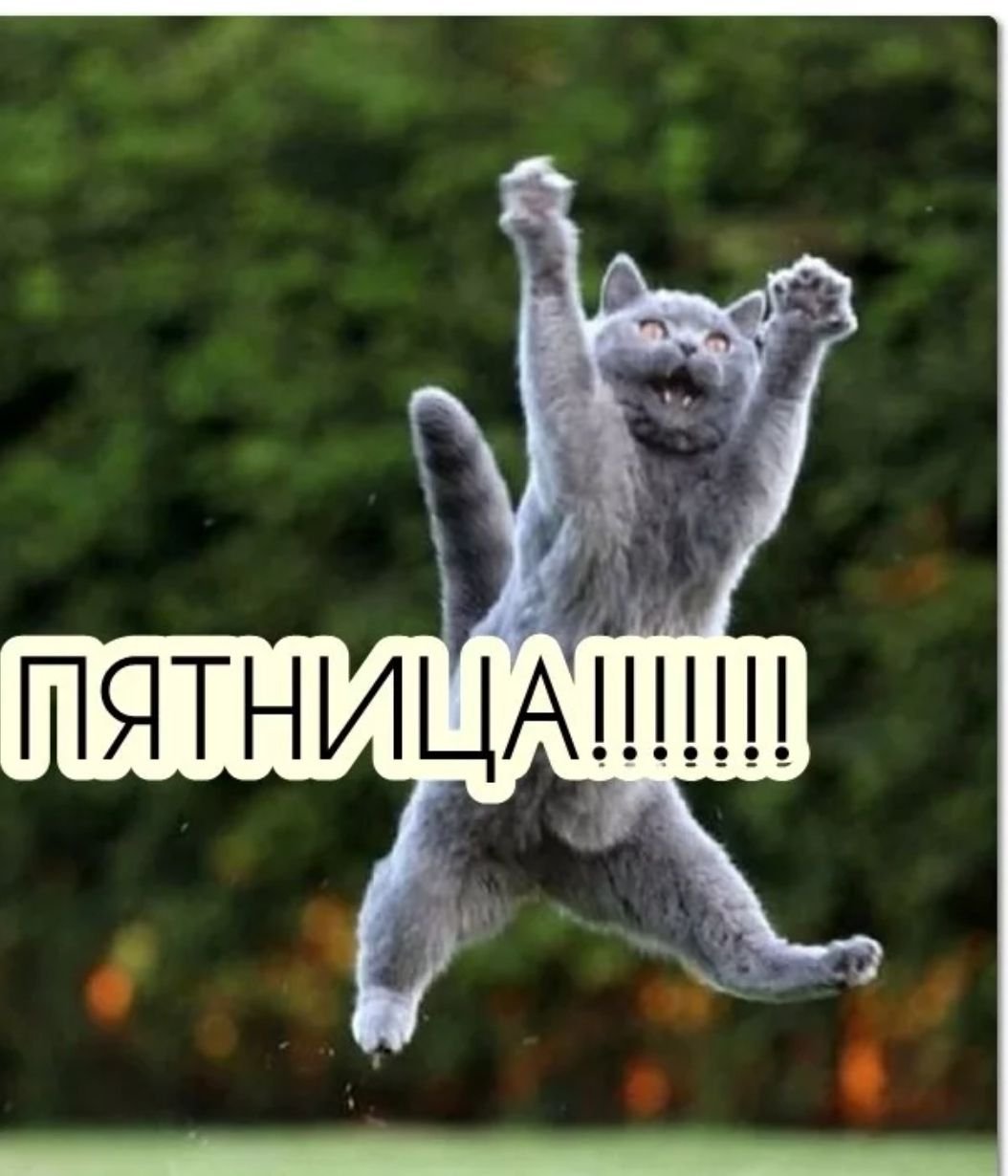 Цветок Элегант