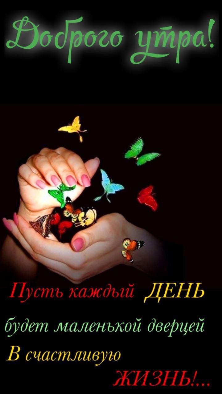 Доброго дня береги себя