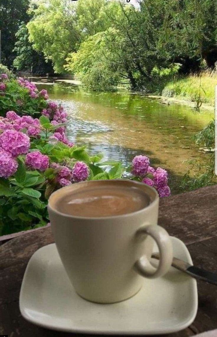 Доброе утро Аллочка