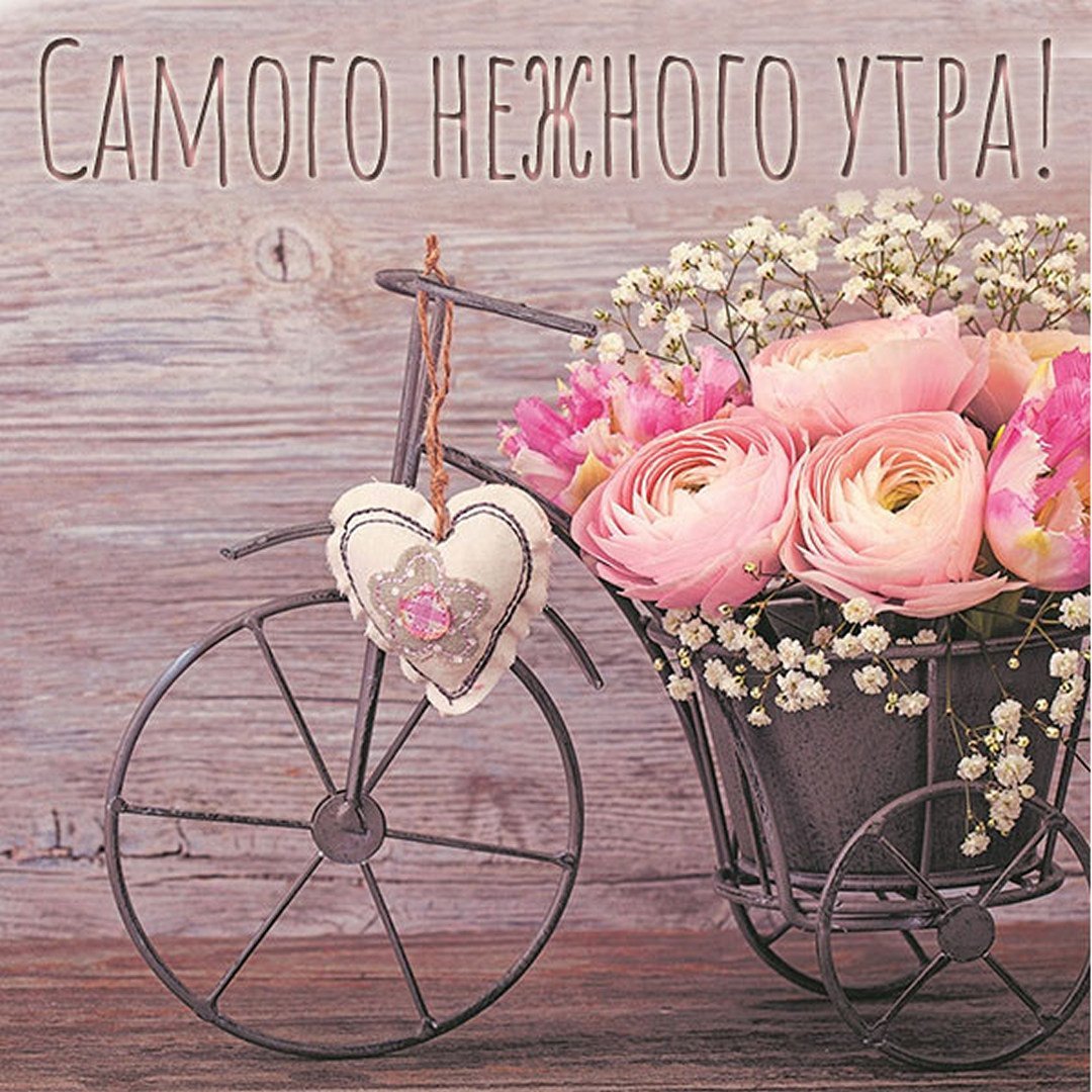 Добрый день Наталья