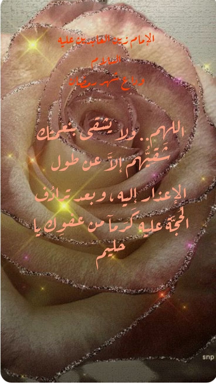 Переливающиеся цветы