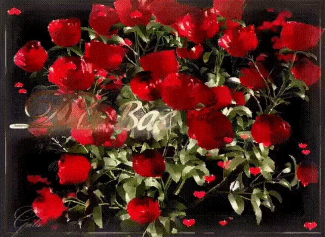 Мерцающие букеты роз